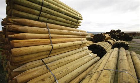 treated wood products treated wood logs treated wood fence posts