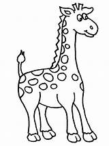 Giraffe Coloring Pages African Cartoon Baby Amazing Printable Animals Cliparts Print Color Netart Adult Cute Colouring Library Clipart Pano Seç sketch template
