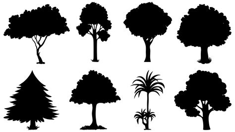 tree silhouettes vector graphics illustration silhouette vector tree