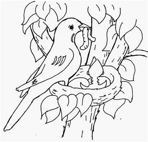 printable bird nest coloring page  print  color
