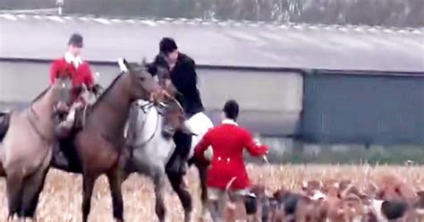 atherstone hunt members will not face action over hounds killing fox