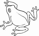 Rana Drawing Colorare Frosch Anfibi Clipart Dibujar Rane Frogs Supercoloring Dall Ausmalbilder Immagini Animali Clipartmag Disegnidacolorare Categorie Rospo sketch template