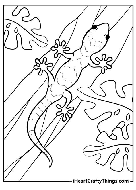 coloring books coloring pages large lizards cute lizard spring