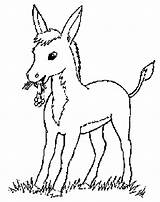Coloring Pages Donkey Donkeys Kids Animal Farm Sketches Choose Board Library Adult Popular Print Coloringkids sketch template