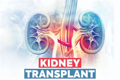 kidney transplant  apollomedics hospitals