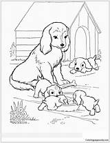 Dog Puppy Pages Coloring Kids sketch template