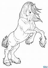 Horse Draft Cob Justcoloringbook sketch template