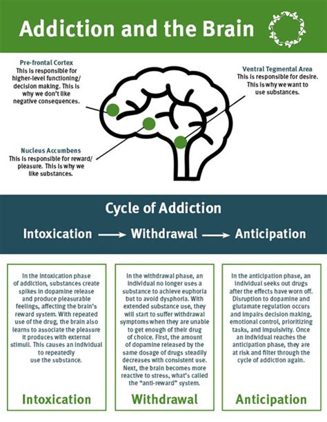 what causes addiction in the brain