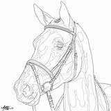 Horse Dressage Outline Drawing Deviantart Horses Line Getdrawings sketch template