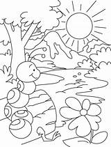 Coloring Hill Ant Colouring Getdrawings sketch template