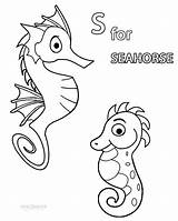 Seahorse Coloring Pages Baby Printable Template Cool2bkids Kids sketch template
