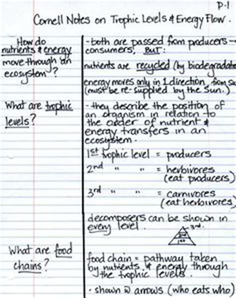 cornell note  find  examples  good note