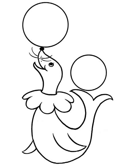 circus seal coloring page   animal coloring pages circus theme