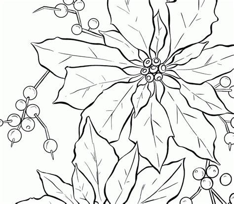 poinsettia outline coloring home