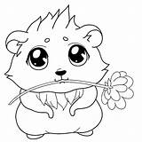 Hamster Augen Blume Malvorlagen Olhos Erbsen sketch template