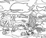 Coloring Sea Pages Animal Animals Popular sketch template