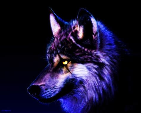 pin  paige   wildlife wolf wallpaper wolf background wolf pictures