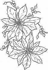 Pages Poinsettia Getdrawings sketch template
