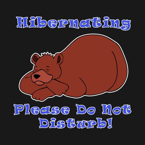 hibernating    disturb funny bear  shirt teepublic