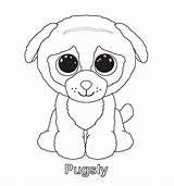 Ty Beanie Coloring Boo Pages Printable Color sketch template
