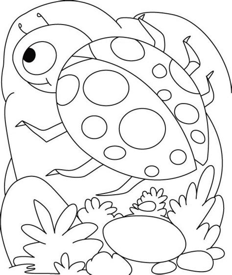 printable ladybug coloring pages coloring home