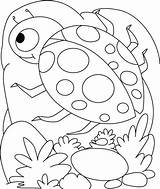 Coloring Pages Ladybug Printable Kids Shell Insect Lady Colouring Egg Bird Color Comments Rocks Getcolorings Insects sketch template