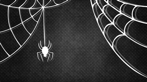 Spiderweb Wallpapers Top Free Spiderweb Backgrounds Wallpaperaccess