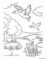 Ducks Grassland Getdrawings sketch template