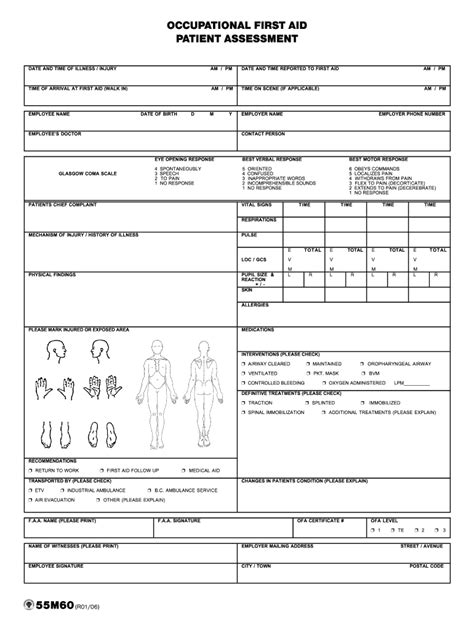 aid patient assessment form fill  printable fillable