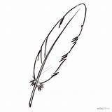 Feather Plume Plumas Dessiner Feathers Plumes Pluma Aves Dibujo Oiseau Crayon Contour Dollz Turkey Heirs sketch template