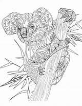 Dieren Kleurplaat Koala Kleurplaten Schattige Animal Mandalas Volwassenen Malvorlagen Possum Printen Moeilijk Omnilabo Ausmalbilder Bezoeken Quilling Downloaden Erwachsene sketch template