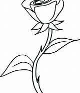 Dying Rose Getdrawings Drawing Roses sketch template