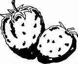 Strawberries Coloring Fraises Mewarnai Fraise Buah Buahan Kleurplaat Frutta Colorare Animasi Malvorlagen Gemuse Obst Bergerak Bewegende Animaties Gambar Groente Malvorlagen1001 sketch template