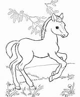 Horse Coloring Pages Kids Printable Cute sketch template