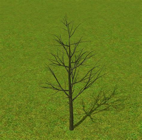 simming  magnificent style tree  leaves