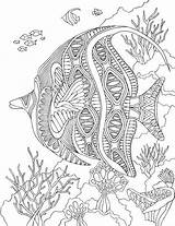 Colorear Angelfish Erwachsene Zentangle Fisch Ausmalen Coloriages Páginas Adulte Marine Livres Poisson Magique Quallen Fur Delfin Marins Mangala Verkauft Dificiles sketch template