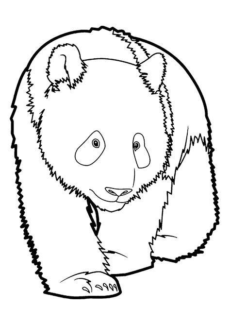 panda coloring pages   pandas kids coloring pages