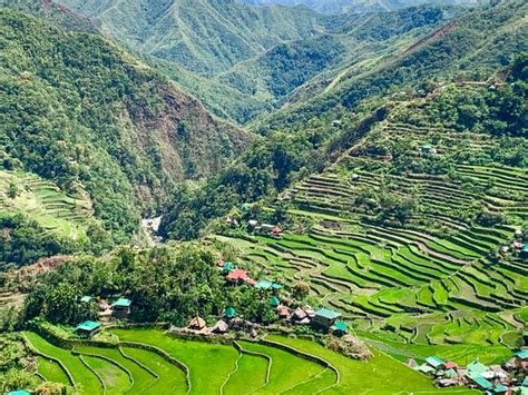 Batad Rice Terraces Banaue Updated 2020 All You Need To