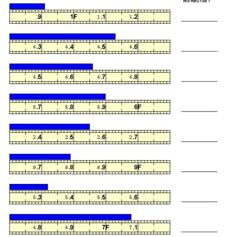 read  tape measure worksheet worksheet   read  tape measure