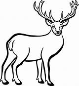Deer Clipart Buck Elk Printable Drawing Stag Reindeer Clip Hunting Transparent Drawings Line Head Print Gone Getdrawings Clipartmag Cliparts Webstockreview sketch template