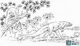 Megalosaurus Hypsilophodon Foxii Dinosaur Dinosaurs Maiasaura Pertaining sketch template