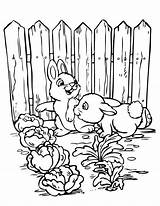 Coloring Pages Gardening Garden Vegetable Printable Sheets Kids Color Print Flower Cute Bestcoloringpagesforkids Spring Bunnies Getcolorings Preschool Popular Coloringtop sketch template