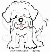 Fluffy Maltipoo Maltese Hund Malteser Malvorlage Havanese Wagging Bichon sketch template