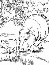 Hippo Netart sketch template