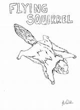 Squirrel Coloring Coloringbay Adairs sketch template