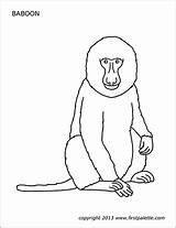Printable Baboon Animal Printables Animals Templates Firstpalette Coloring Pages sketch template