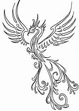 Phoenix Drawing Tattoo Outline Line Drawings Designs Fenix Tattoos Phönix Leigha Simple Pheonix Henna Sketch Arm Castro Paintingvalley Angel Choose sketch template