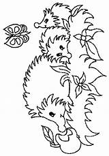 Hedgehog Coloring Pages Kids Animals sketch template