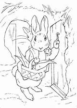 Peter Rabbit Coloring Pages Colouring Fun Kids Votes Sheets sketch template