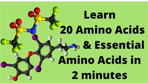 The 20 Amino Acids And Essential Amino Acids Mnemonic Youtube